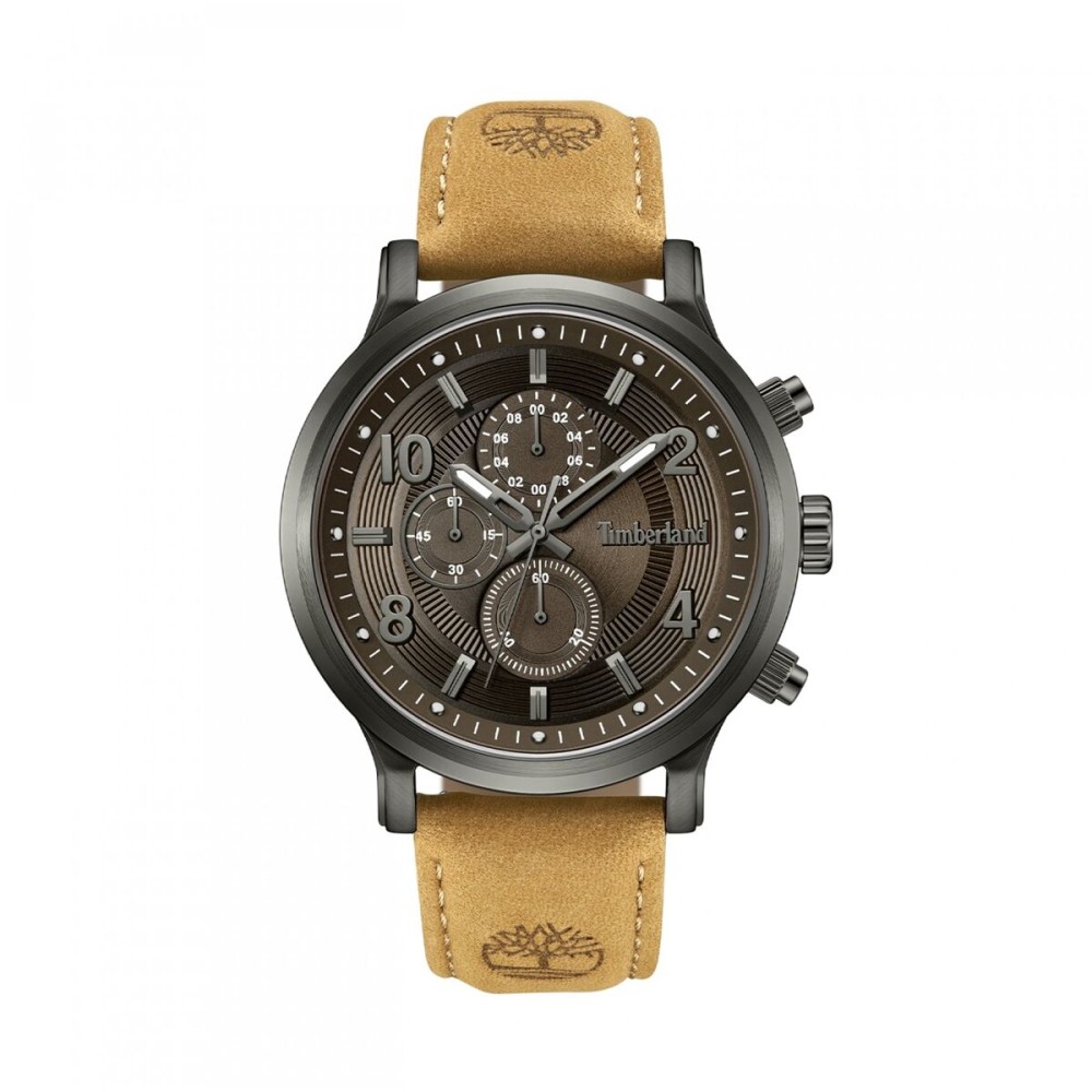 Men's Watch Timberland TDWGF0055703