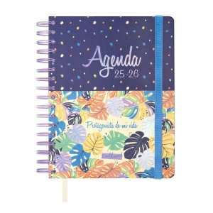 Agenda Finocam