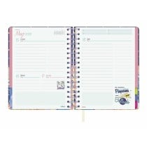 Agenda Finocam