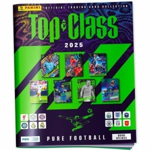 Pack of stickers Panini