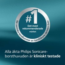 Replacement Head Philips OPTIMALWHITEHX6062/87PACKDE2CA (2 Units)