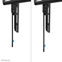 TV Halterung Neomounts WL35-750BL18 43"