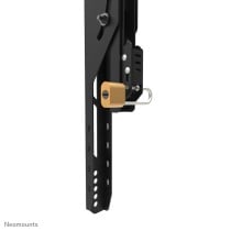 TV Halterung Neomounts WL35-750BL18 43"