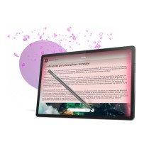 Tablette Lenovo ZAE40035ES