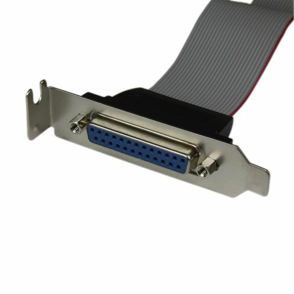 Adapter Startech PLATE25F16LP 