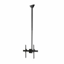 Support de TV Startech FLATPNLCEIL 