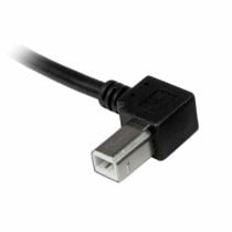 Câble USB A vers USB B Startech USBAB1ML Noir