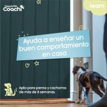Hundegeschirr Coachi