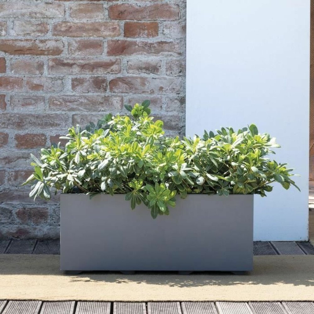 Self-watering planter Deroma Millennium R Grey Plastic Recycled plastic Rectangular