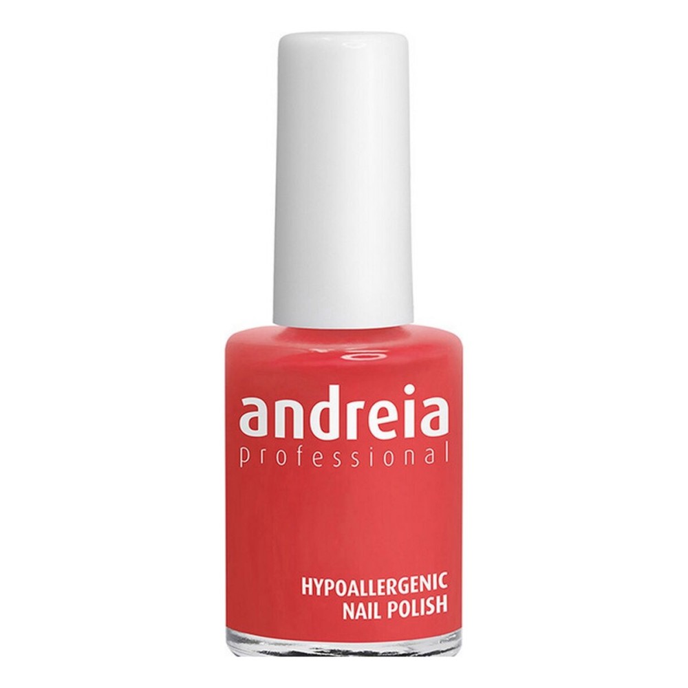 vernis à ongles Andreia Professional Hypoallergenic Nº 119 (14 ml)