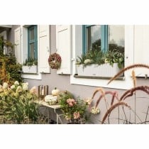 Plant pot Lechuza