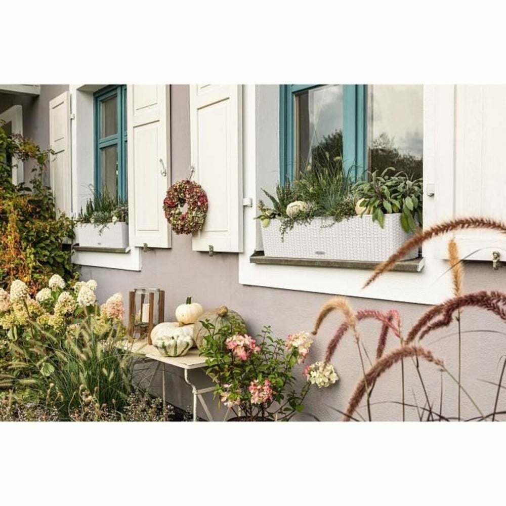 Plant pot Lechuza