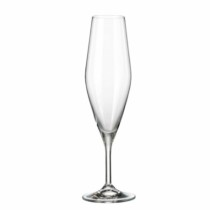 Champagnerglas Bohemia Crystal Galaxia 210 ml champagne 6 Stücke (6 Stück) (4 Stück)