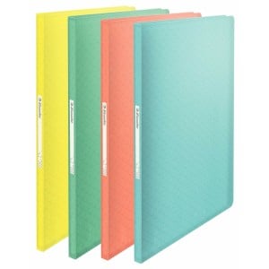 Classeur Esselte ICE A4 20 Pièces