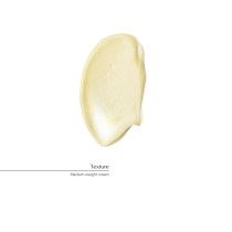 Körperlotion Aesop GERANIUM LEAF 500 ml