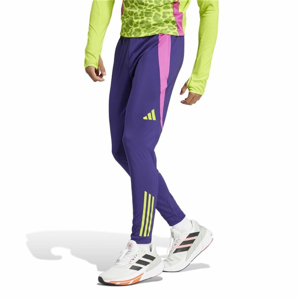 Jogging d'Entraînement de Football pour Adultes Adidas Predator Tr Homme