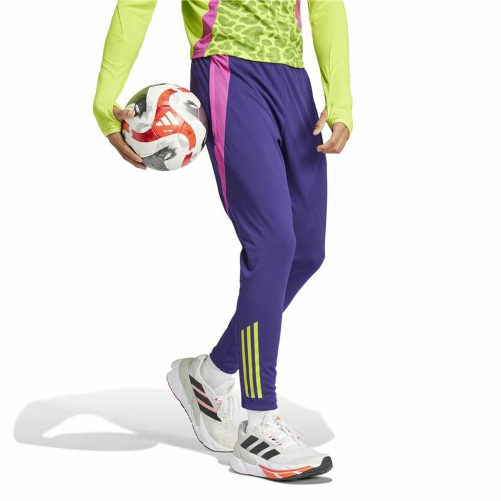 Jogging d'Entraînement de Football pour Adultes Adidas Predator Tr Homme