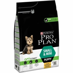 Fodder Purina Pro Plan Healthy Start Small & Mini Puppy Kid/Junior Chicken 3 Kg