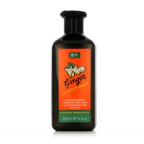 Après shampoing nutritif Xpel Gingembre 400 ml