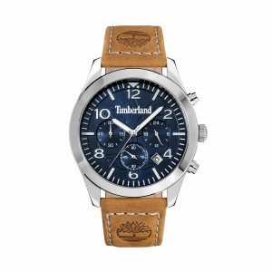 Men's Watch Timberland TDWGC0068801