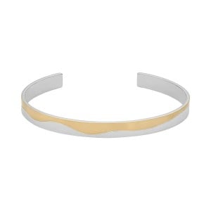 Bracelet Femme Skagen SKJ1704998.M