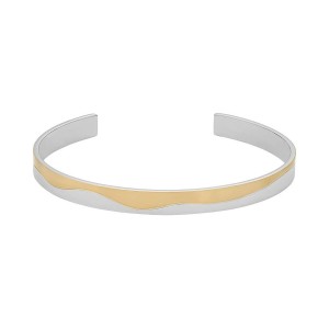 Ladies' Bracelet Skagen SKJ1704998.M