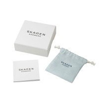 Bracelet Femme Skagen SKJ1704998.M