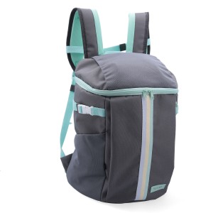 Sac Thermique Quid Sugar Gris 30 x 22 x 40 cm Sac à dos Thermique 20 L