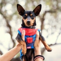 Dog T-shirt Spider-Man