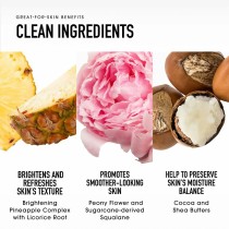 Make-Up Set bareMinerals BAREPRO