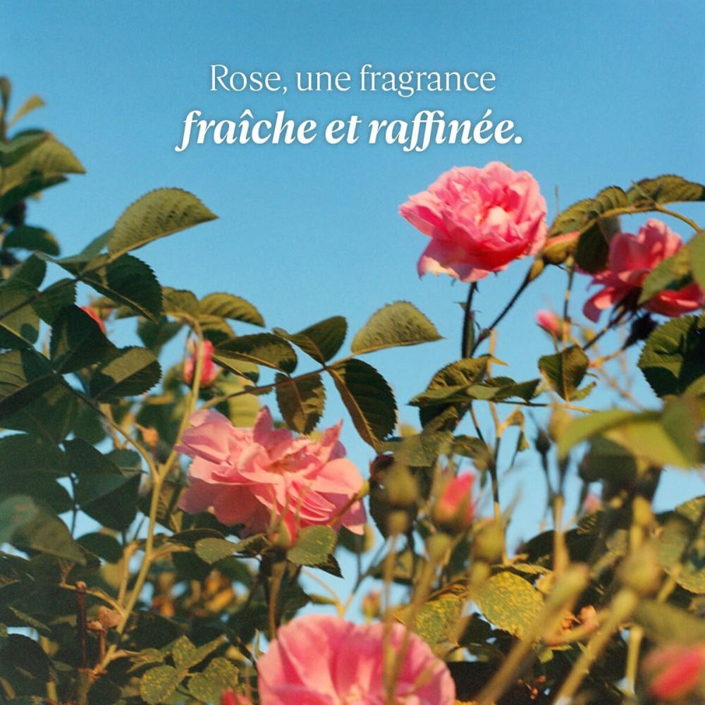 Crème hydratante pour les pieds L'Occitane En Provence ROSE L'OCCITANE 30 ml