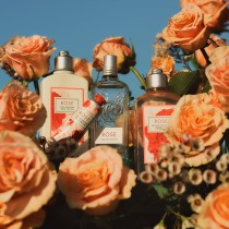 Crème hydratante pour les pieds L'Occitane En Provence ROSE L'OCCITANE 30 ml