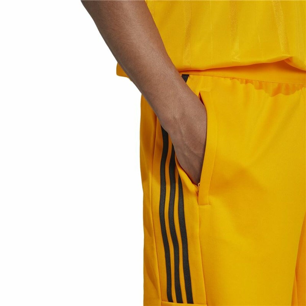 Jogging d'Entraînement de Football pour Adultes Adidas House of Tiro National Pack Homme