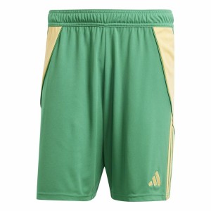 Jogging d'Entraînement de Football pour Adultes Adidas Tiro24 Homme