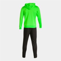 Survêtement pour Adultes Joma Sport PhoenIX II