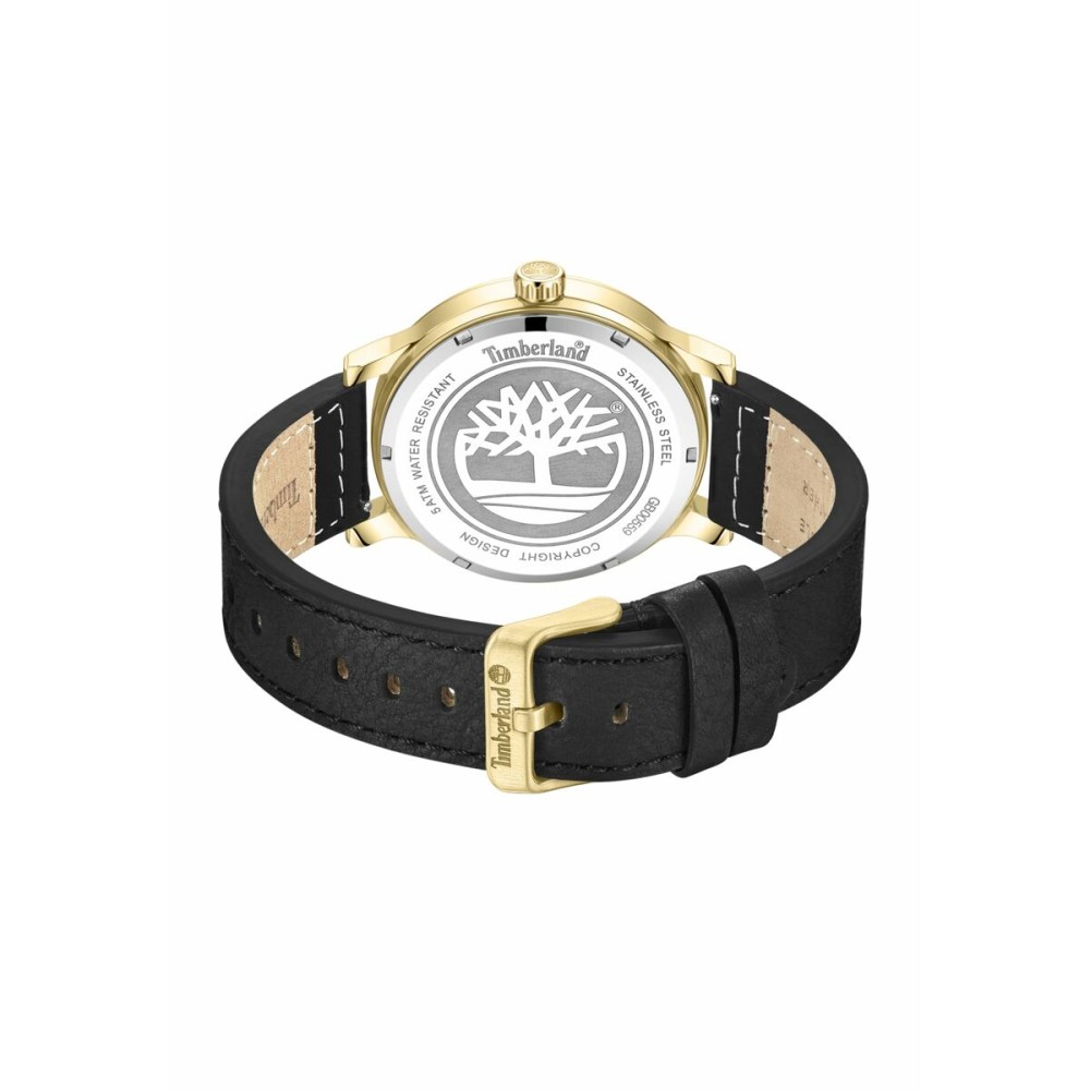 Men's Watch Timberland TDWGB0055902