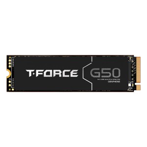 Hard Drive Team Group G50 1 TB SSD