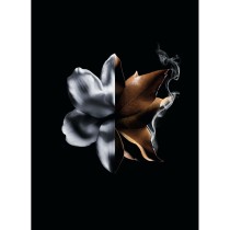 Damenparfüm Givenchy L'Interdit Absolu L'Interdit Absolu 50 ml