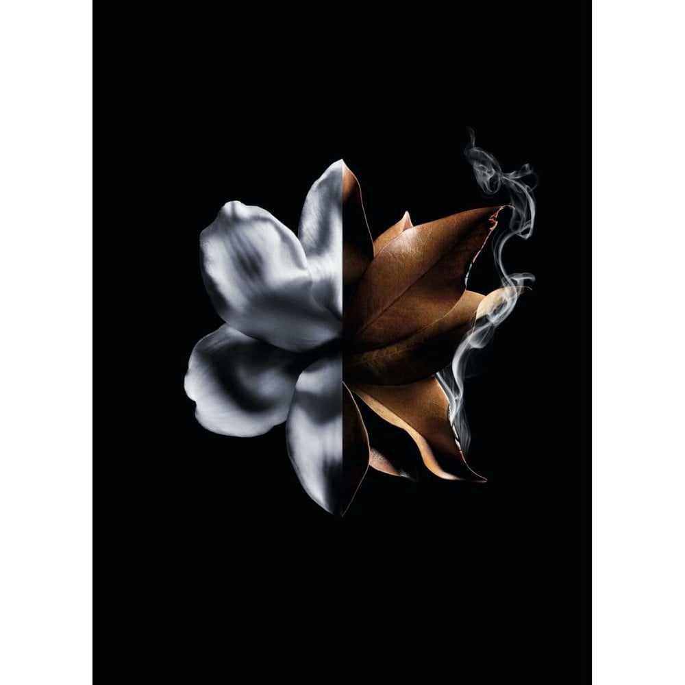 Parfum Femme Givenchy L'Interdit Absolu L'Interdit Absolu 50 ml