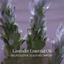 Shampooing L'Occitane En Provence AROMACOLOGÍA 75 ml