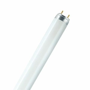Tube fluorescent Osram 18 W T8 1300 lm (6500 K)