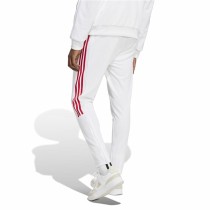 Jogging d'Entraînement de Football pour Adultes Adidas Tiro Nations Pack Homme