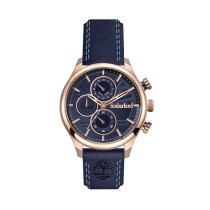 Men's Watch Timberland TDWLF2104004