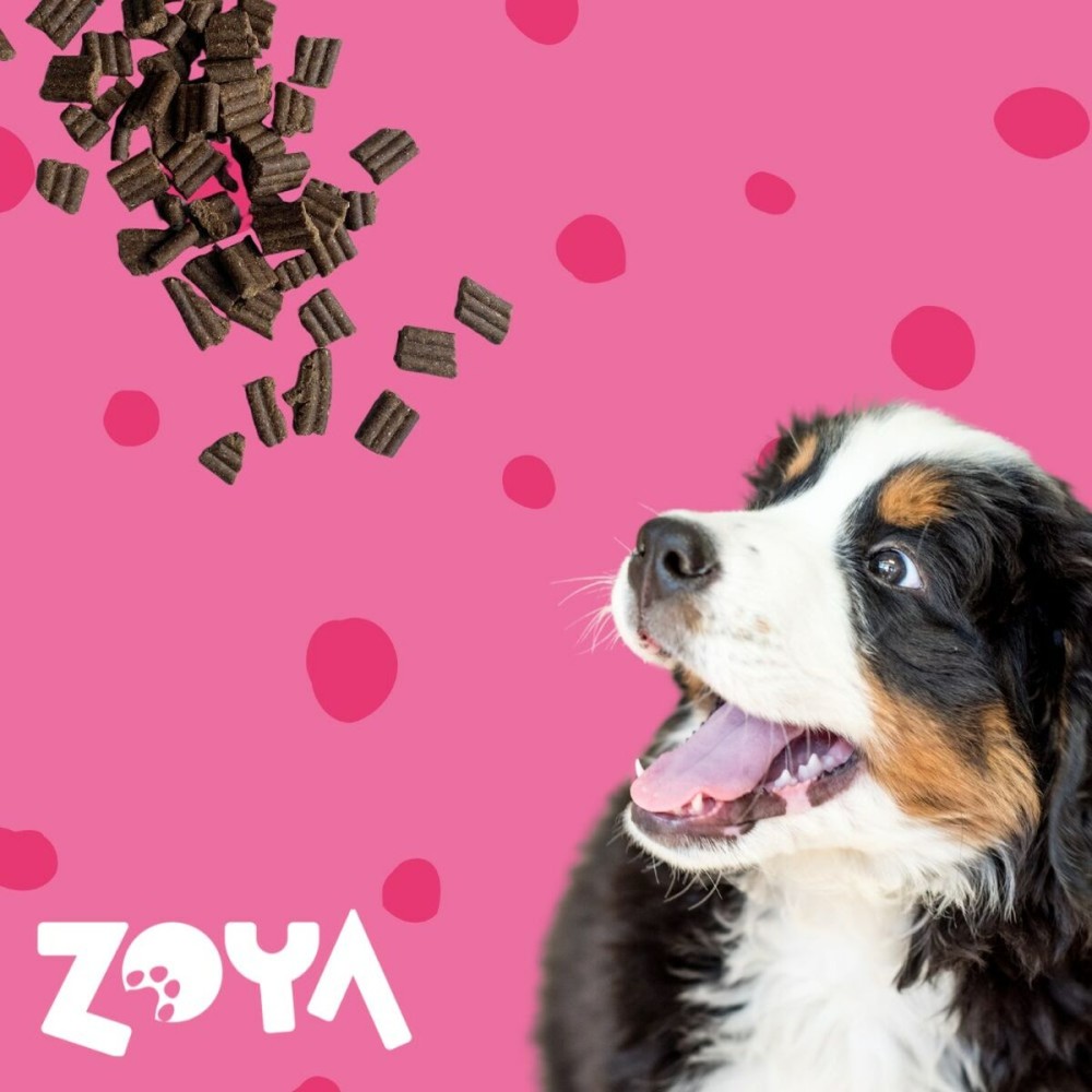 Fodder Zoya Veal 1 kg