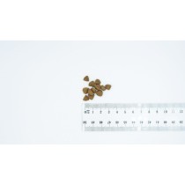 Fodder Bult Duck 12 kg