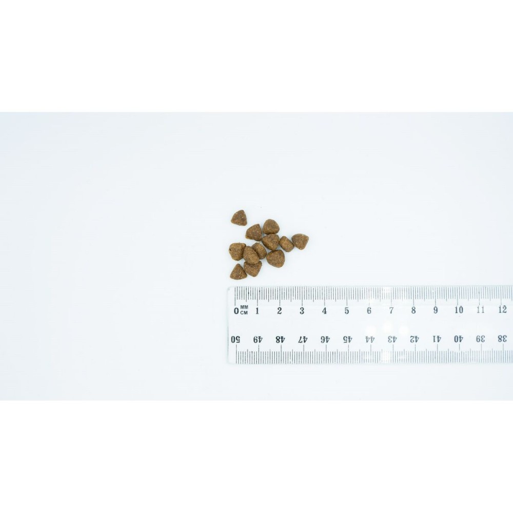 Fodder Bult Duck 12 kg