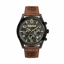 Men's Watch Timberland TDWGC0068802