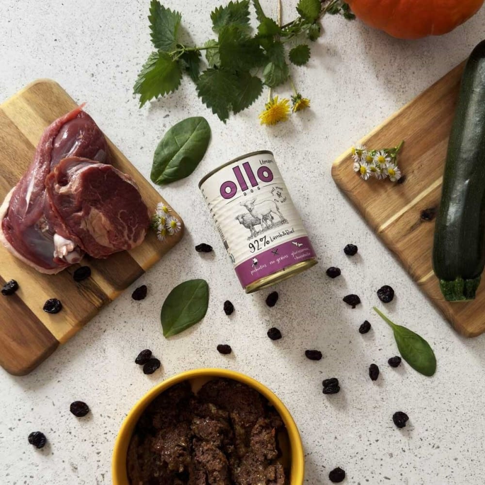 Alimentation humide Ollo Agneau