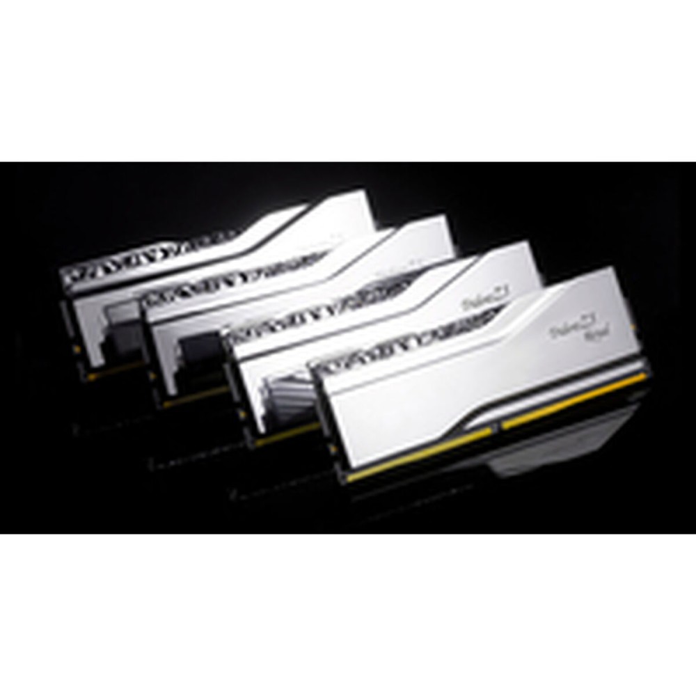 RAM Memory GSKILL F5-6800J3446F48GX2-TR5S