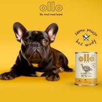 Alimentation humide Ollo